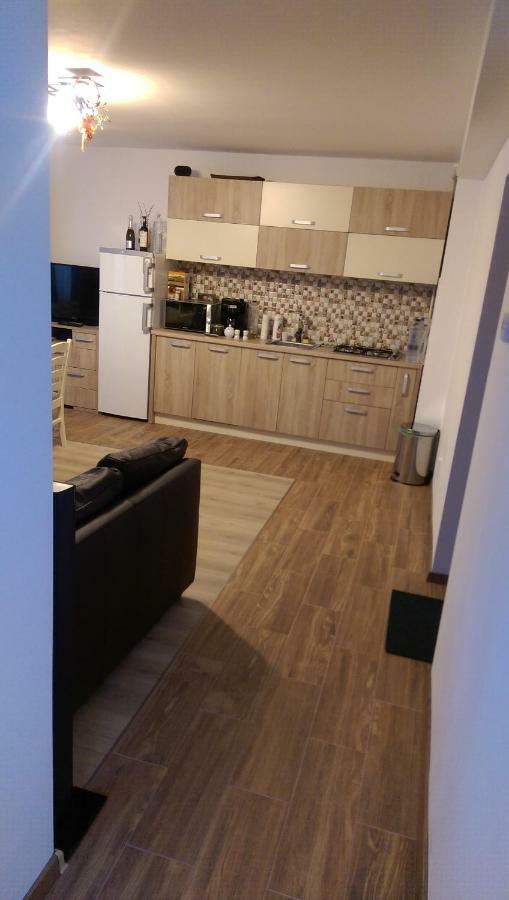 Aterman Apartment'S Sinca Veche Ngoại thất bức ảnh